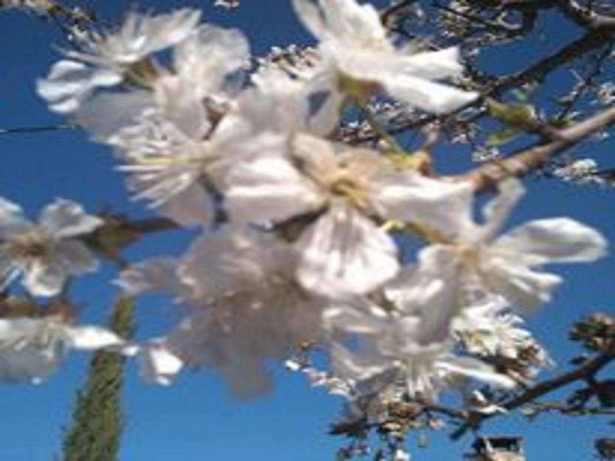 גאטה Naturaleza, Confort Y Vistas Inigualable En Casa Rural La Cumbre מראה חיצוני תמונה
