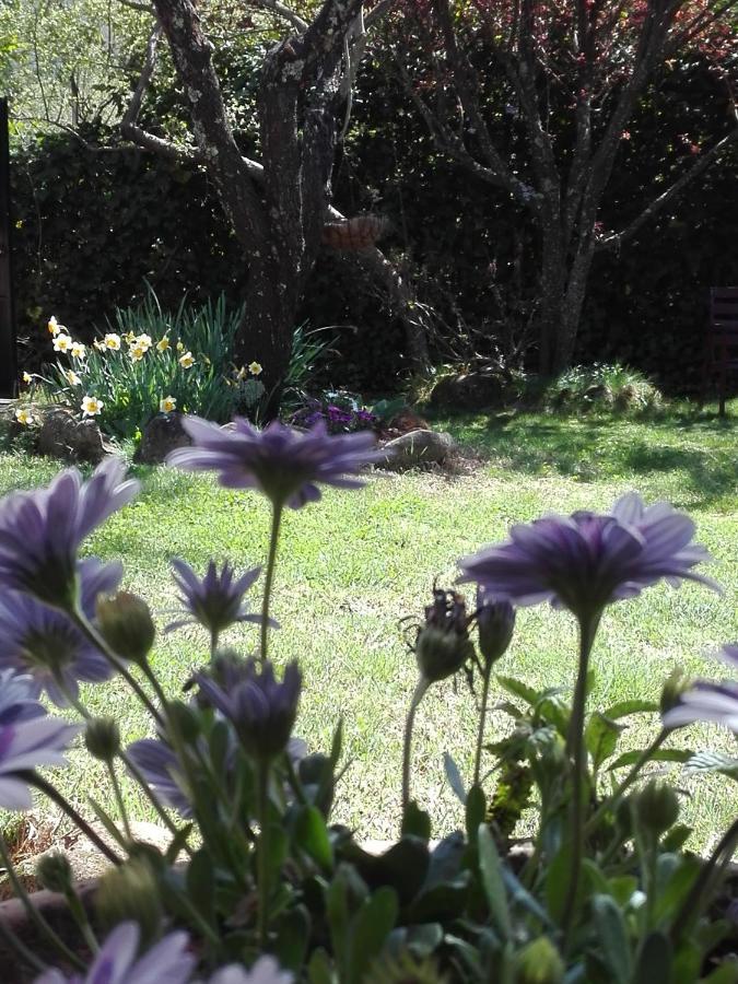 גאטה Naturaleza, Confort Y Vistas Inigualable En Casa Rural La Cumbre מראה חיצוני תמונה